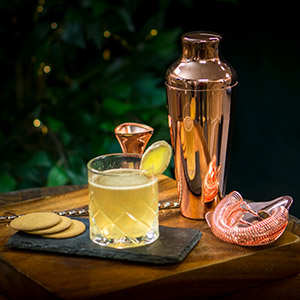 Purchasing Quality Cocktail  Shakers and Tools